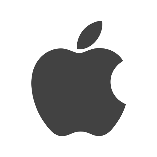 Apple Pay Icon